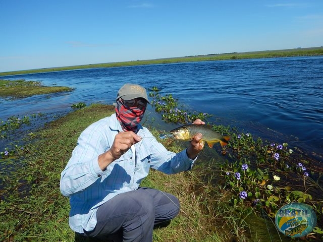 PIRA LODGE - Pantanal Argentino - Temporada 2.016